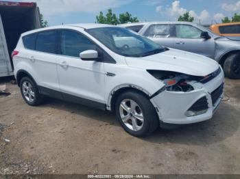  Salvage Ford Escape