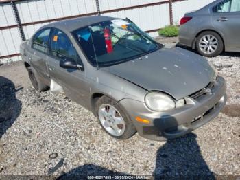  Salvage Dodge Neon