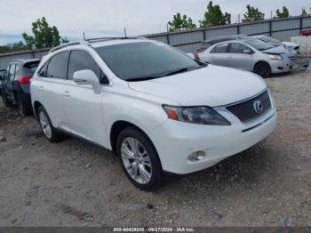  Salvage Lexus RX