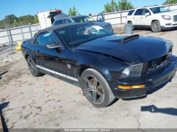  Salvage Ford Mustang