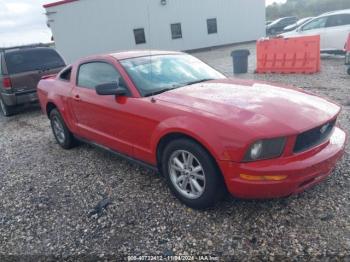  Salvage Ford Mustang