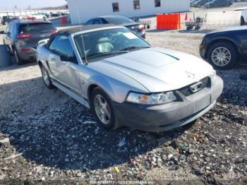  Salvage Ford Mustang