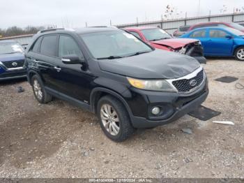  Salvage Kia Sorento