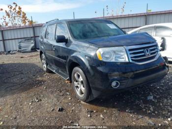  Salvage Honda Pilot