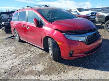  Salvage Honda Odyssey