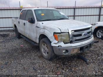  Salvage Ford F-150