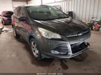  Salvage Ford Escape