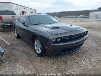  Salvage Dodge Challenger