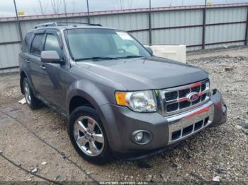  Salvage Ford Escape