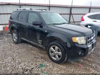  Salvage Ford Escape