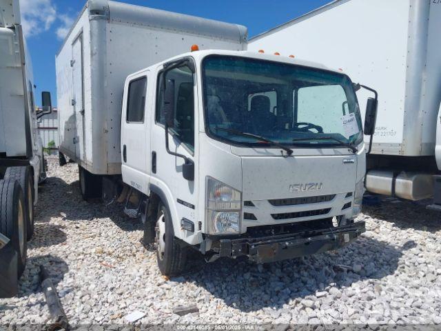  Salvage Isuzu Nqr Dsl Crew