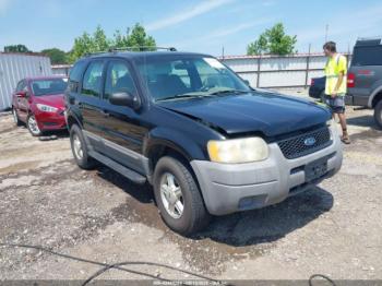  Salvage Ford Escape
