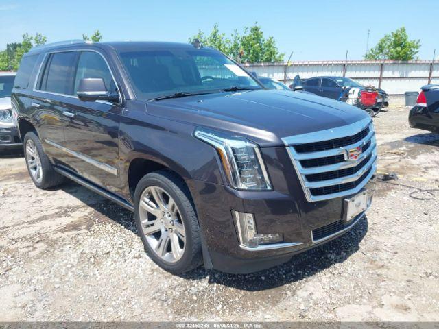  Salvage Cadillac Escalade