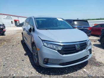  Salvage Honda Odyssey