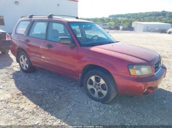  Salvage Subaru Forester