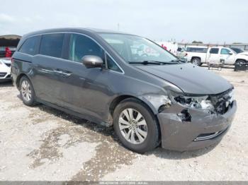  Salvage Honda Odyssey