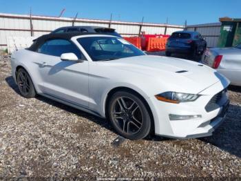  Salvage Ford Mustang