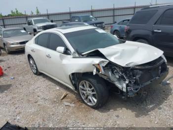  Salvage Nissan Maxima