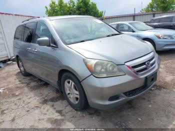  Salvage Honda Odyssey