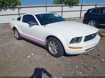  Salvage Ford Mustang