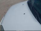 Ford Transit Xlt Image 5