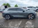 Audi e-tron Premium Plus Image 10