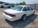 Ford Crown Victoria Image 5