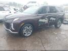 Hyundai PALISADE Sel Image 2