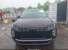 Hyundai PALISADE Sel Image 11