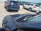 Tesla Model Y Long Range Dual Motor All-wheel Drive Image 16