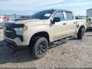 Chevrolet Silverado 1500 4wd  Short Bed Lt Trail Boss Image 11