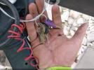 Trailmanor Travel Trailer Image 11