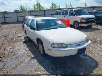 Salvage Chevrolet Lumina