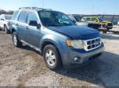 Ford Escape Xlt Image 1