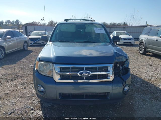 Ford Escape Xlt Image 3