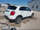 FIAT 500X Trekking Image 5