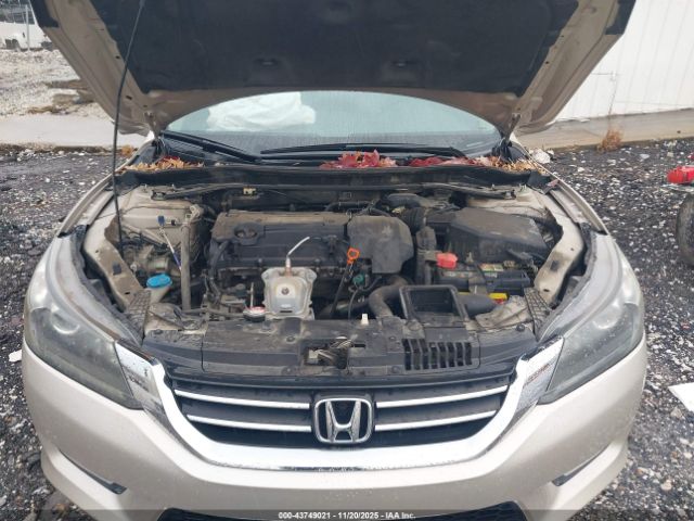 Honda Accord Ex-l Image 16