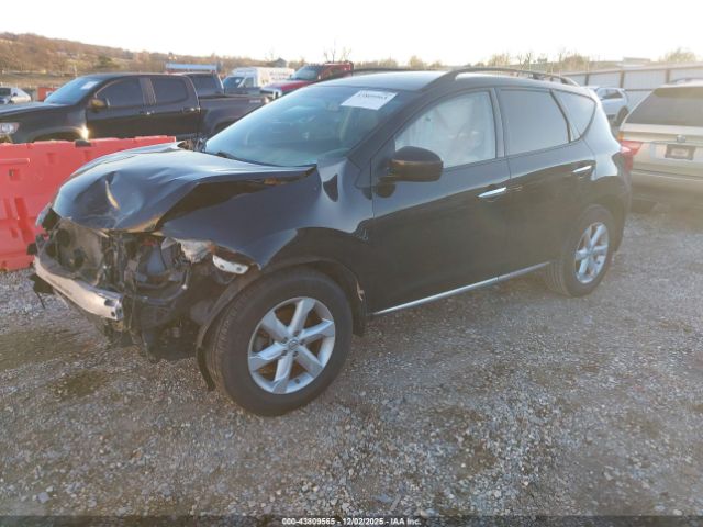 Nissan Murano Sl Image 7