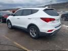 Hyundai SANTA FE 2.4l Image 6