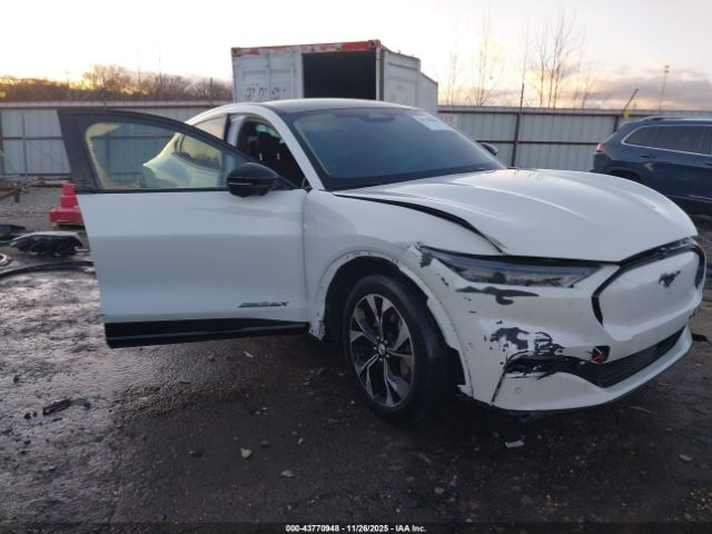 Ford Mustang Premium Image 1