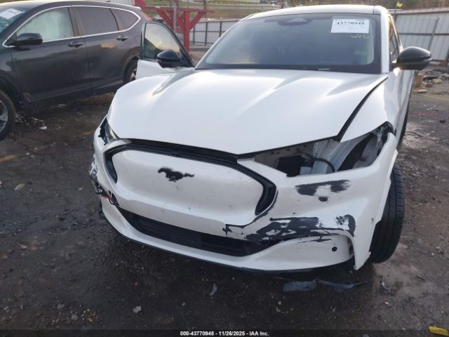 Ford Mustang Premium Image 5