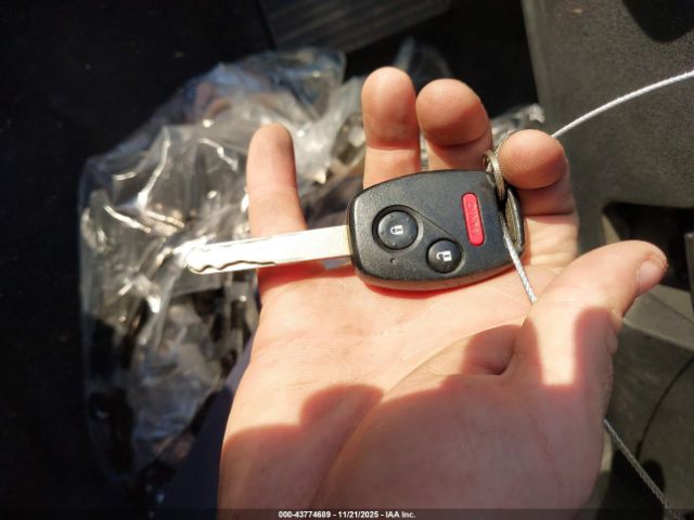 Honda Fit Sport Image 5